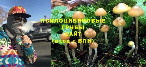 дурь Сосновоборск