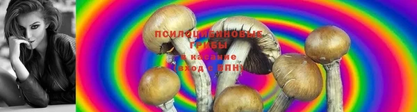 герыч Верхний Тагил