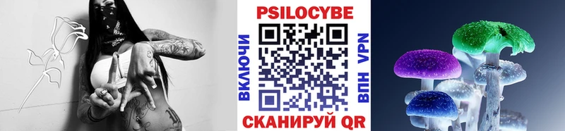 Галлюциногенные грибы Magic Shrooms  Гурьевск 