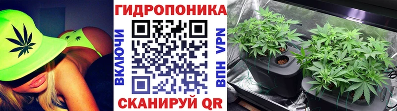 Канабис индика  наркошоп  Гурьевск 